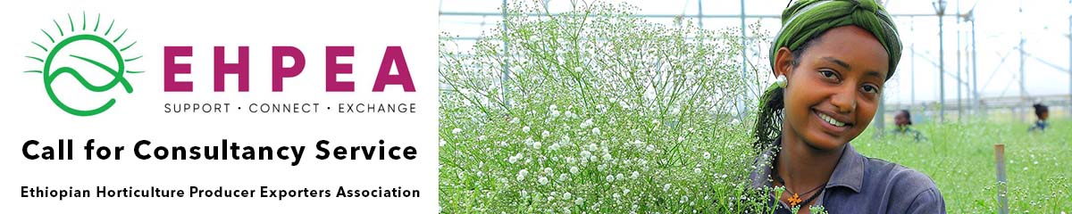 BannerEHPEA Desktop BannerEHPEA Desktop