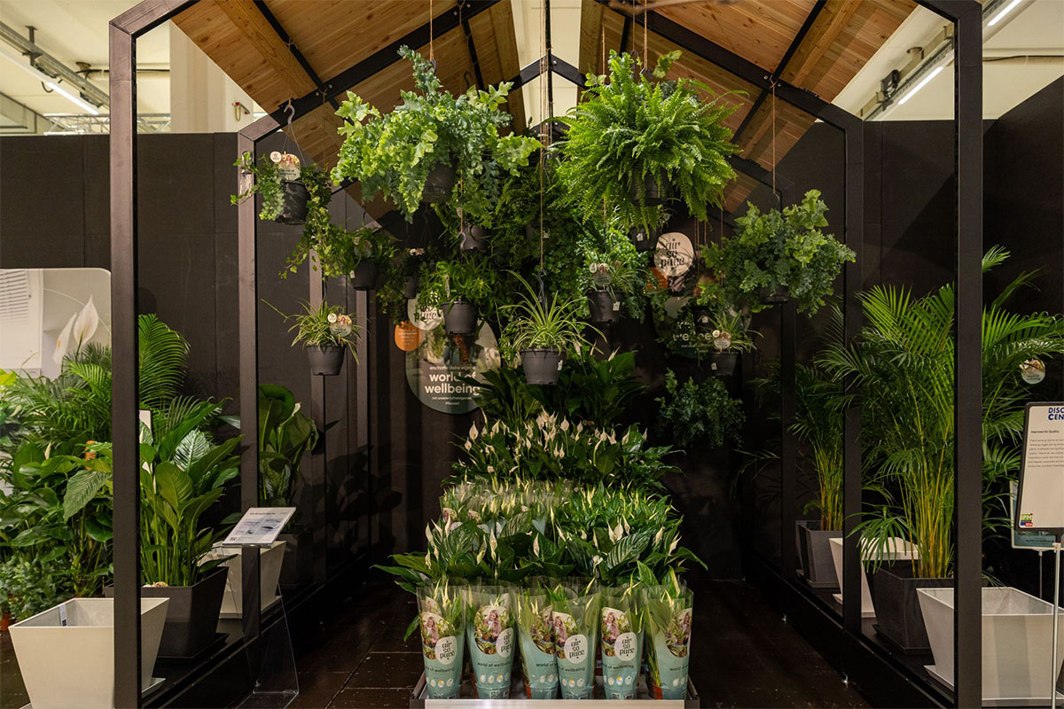 IPM Sneak Preview Air So Pure