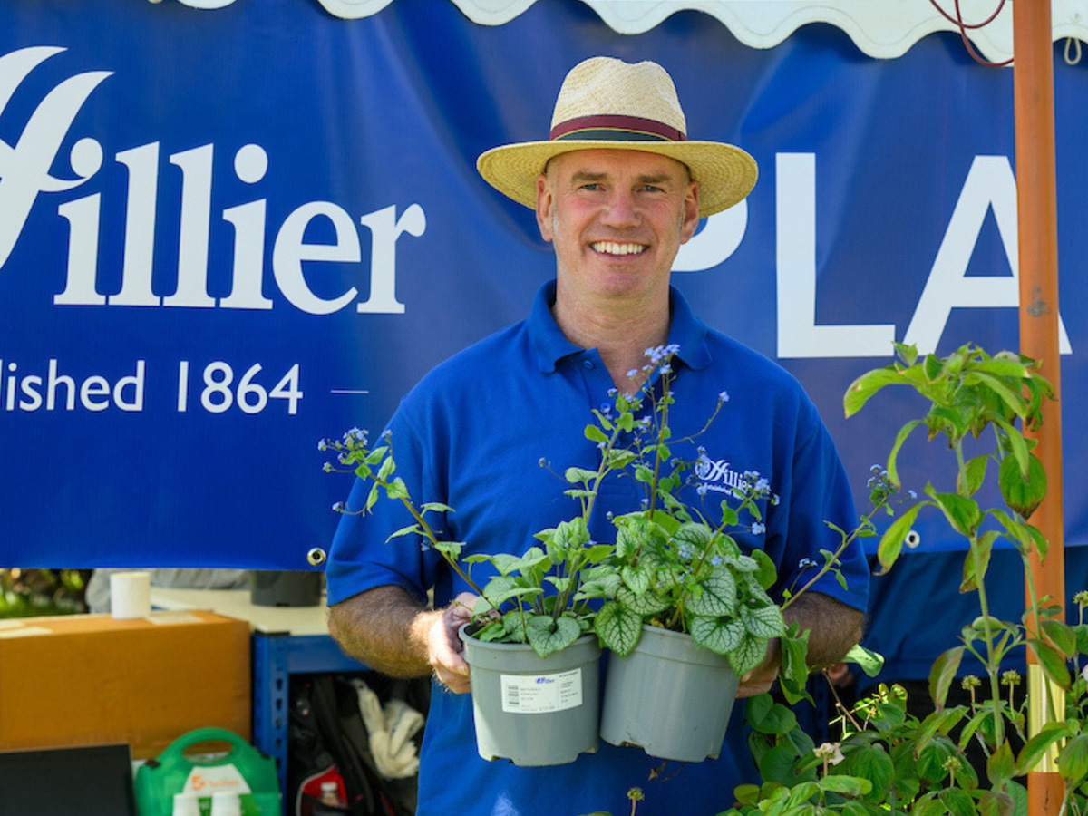 AIPH IGOTY Awards Hillier