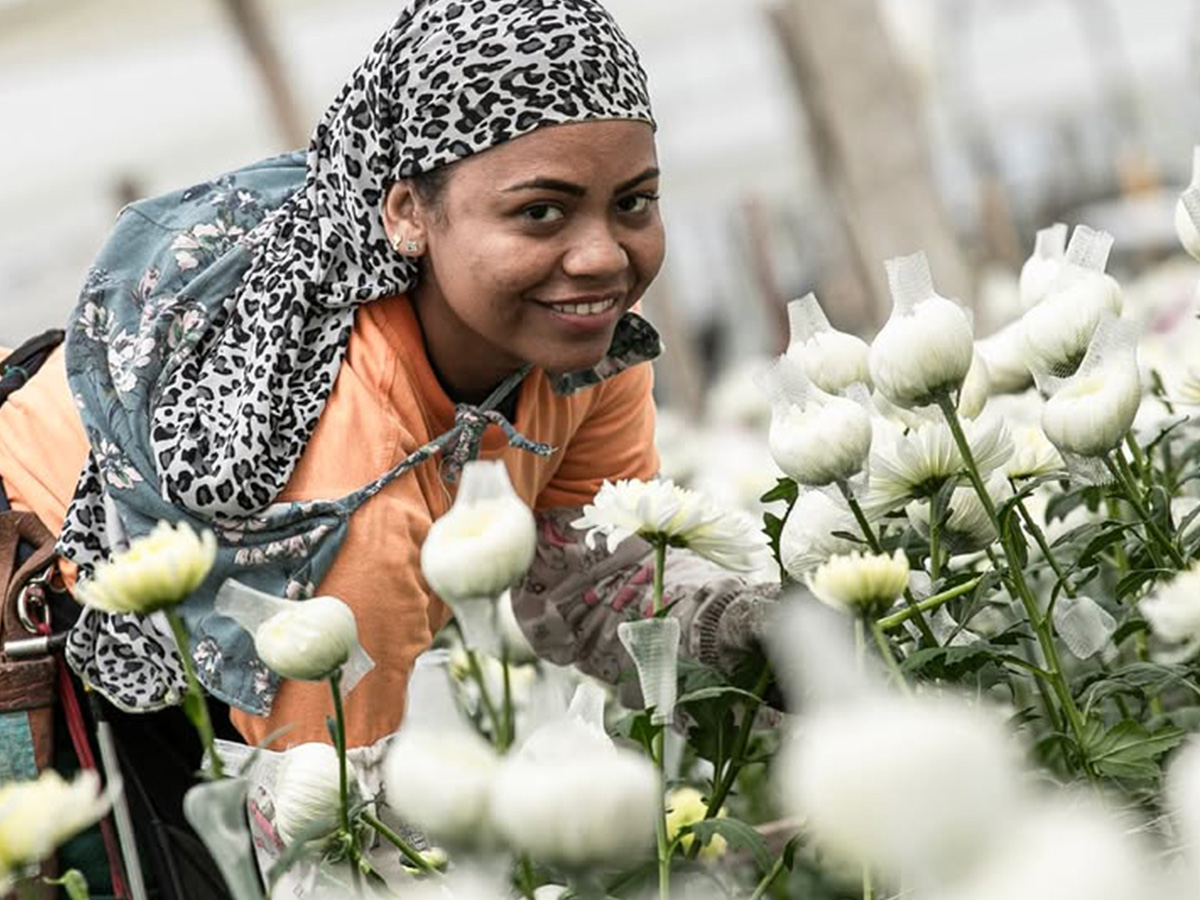 AIPH IGOTY Awards Capiro