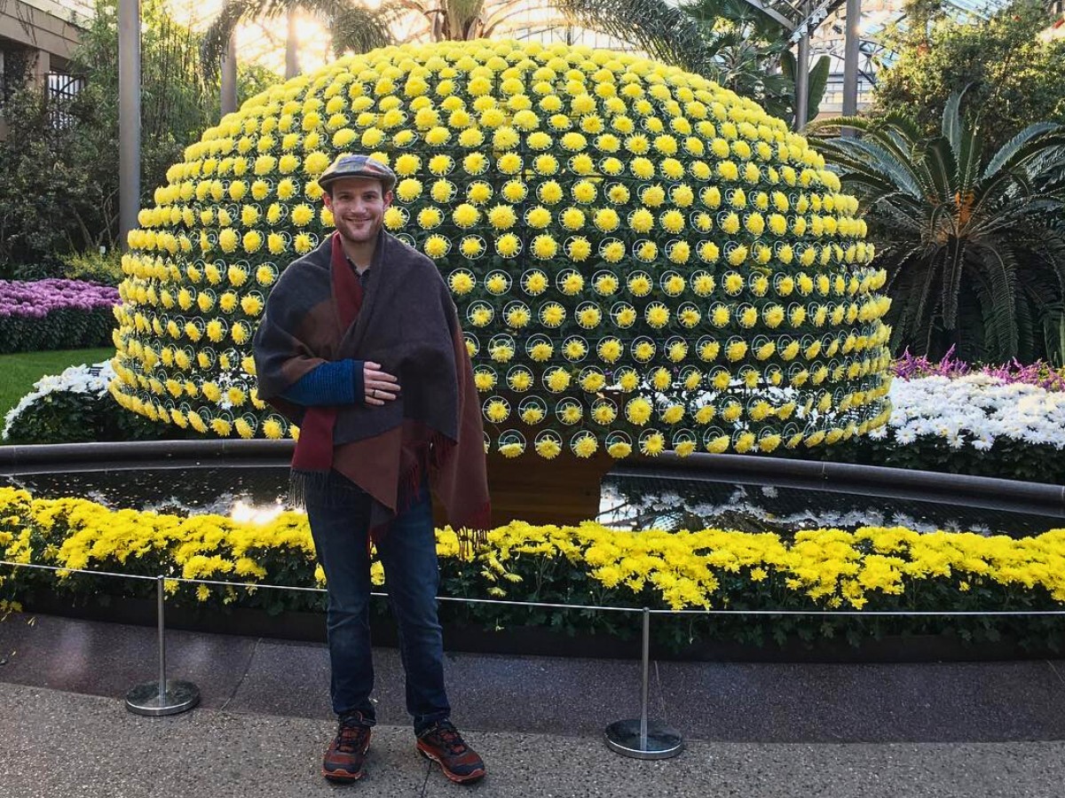 Ozukuri, the Art of Making Thousand Bloom Chrysanthemum Floral Display