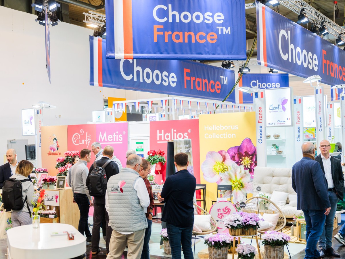International Pavilions Are Redefining the Horticultural Trade Fair Experience at the IPM ESSEN 2026