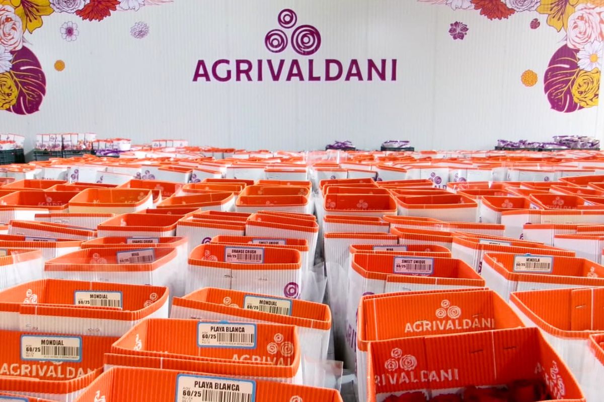 Agrivaldani Ecuador exports