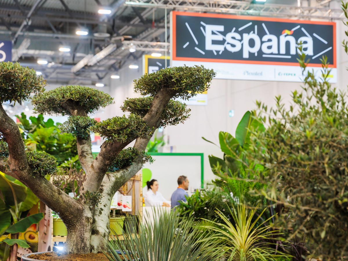 International Pavilions Are Redefining the Horticultural Trade Fair Experience at the IPM ESSEN 2026