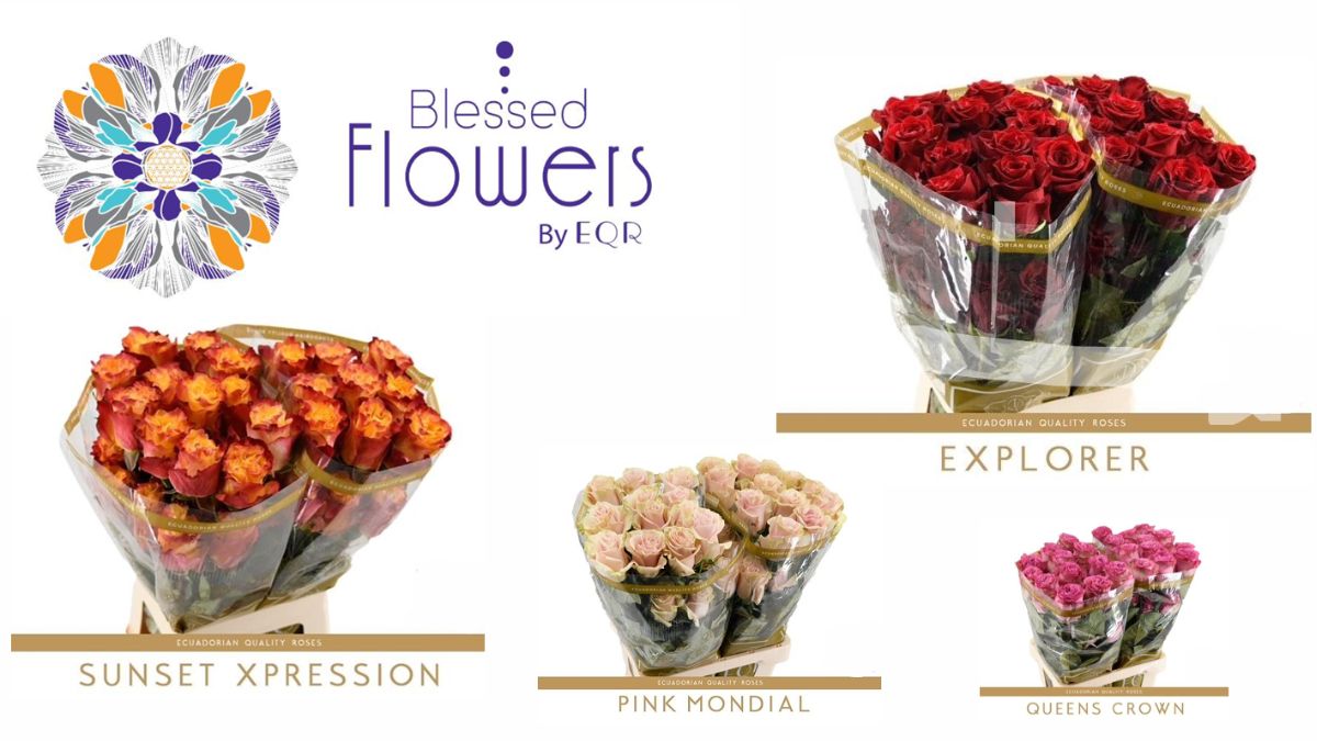 Roses from Blessed Flowersby EQR