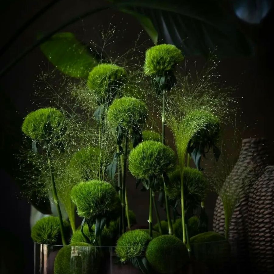 Kiwi Mellow by florists_review and designer bytiffany_floraldesign