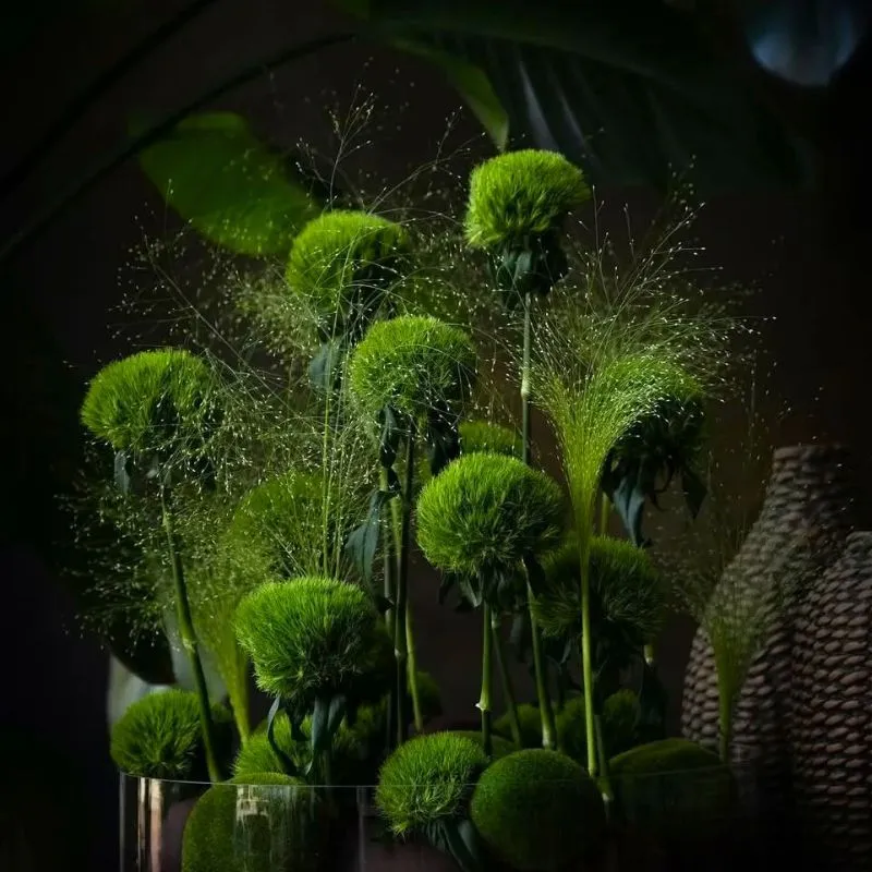 Kiwi Mellow by florists_review and designer bytiffany_floraldesign