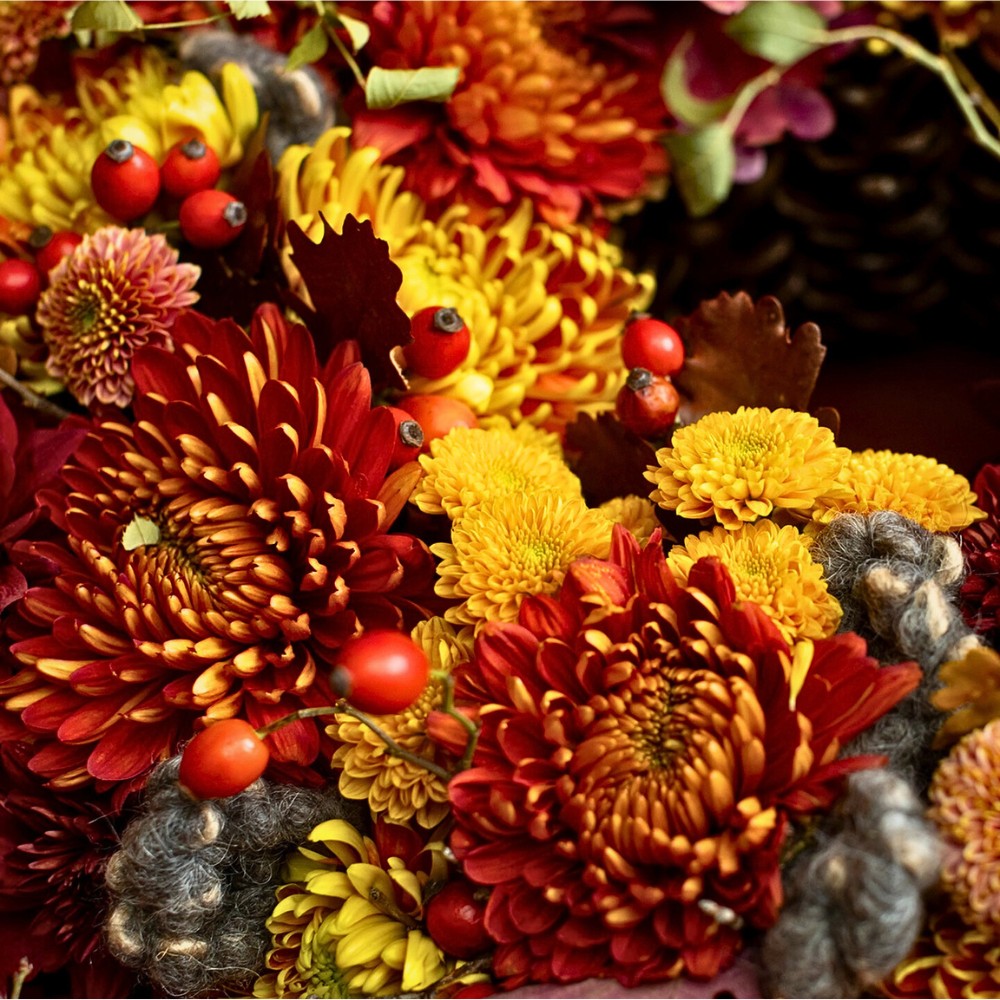 Design ysing Chrysanthemum by K&ouml;v&eacute;r Kriszti&aacute;n