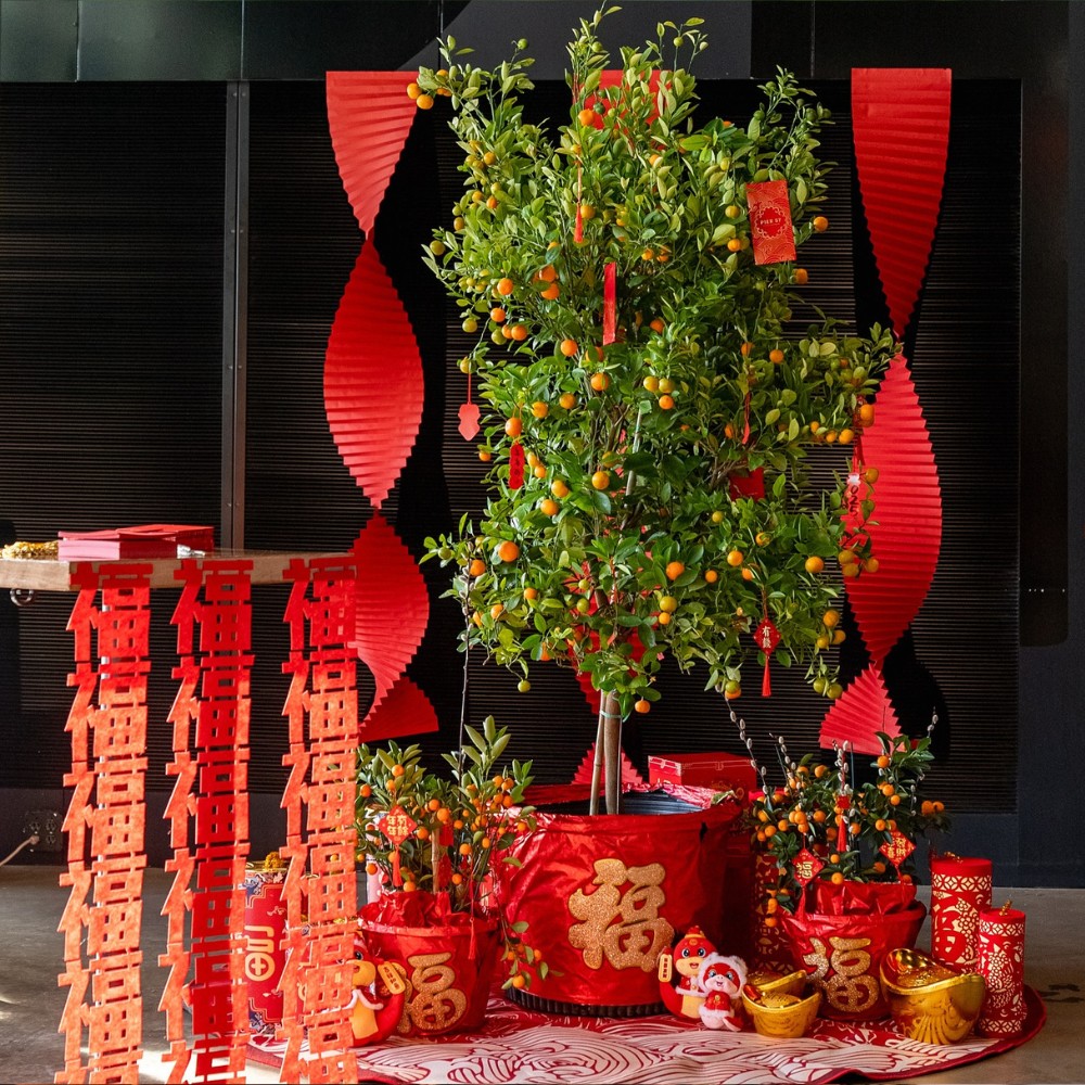 When is the Chinese New Year and what plants bring good luck?