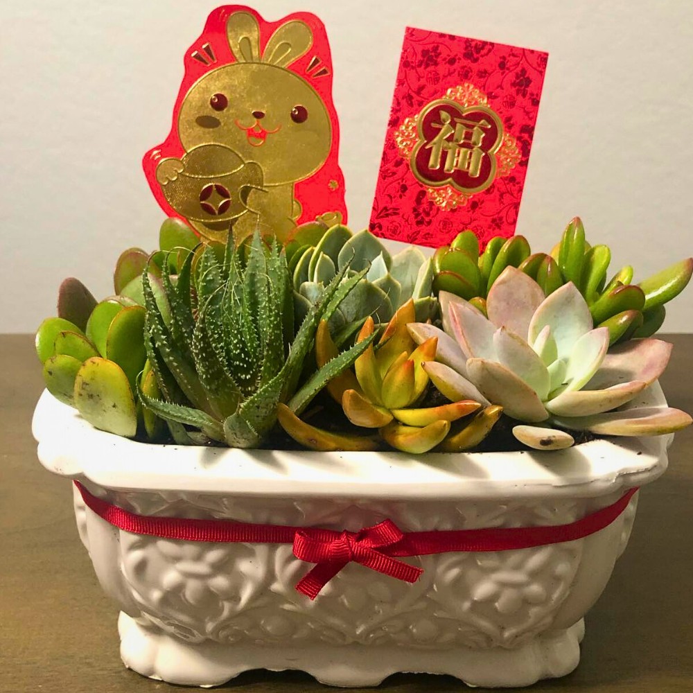 Chinese New Year 2025: How to Say Happy New Year in Chinese and Choose Lucky Flowers and Plants