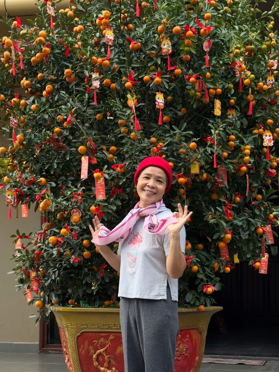 Tangerine or Kumquat Tree