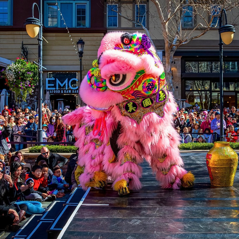 Lunar New Year celebrations