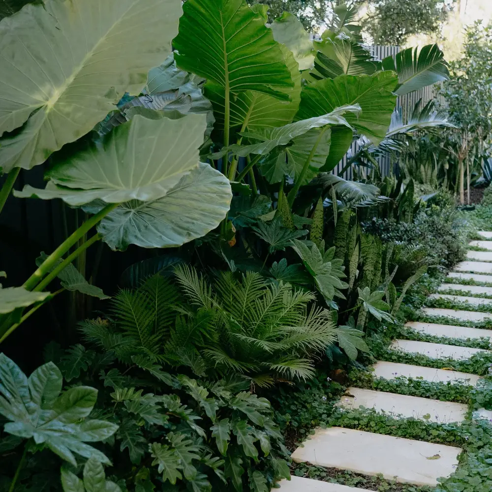 Modern tropical stone garden path