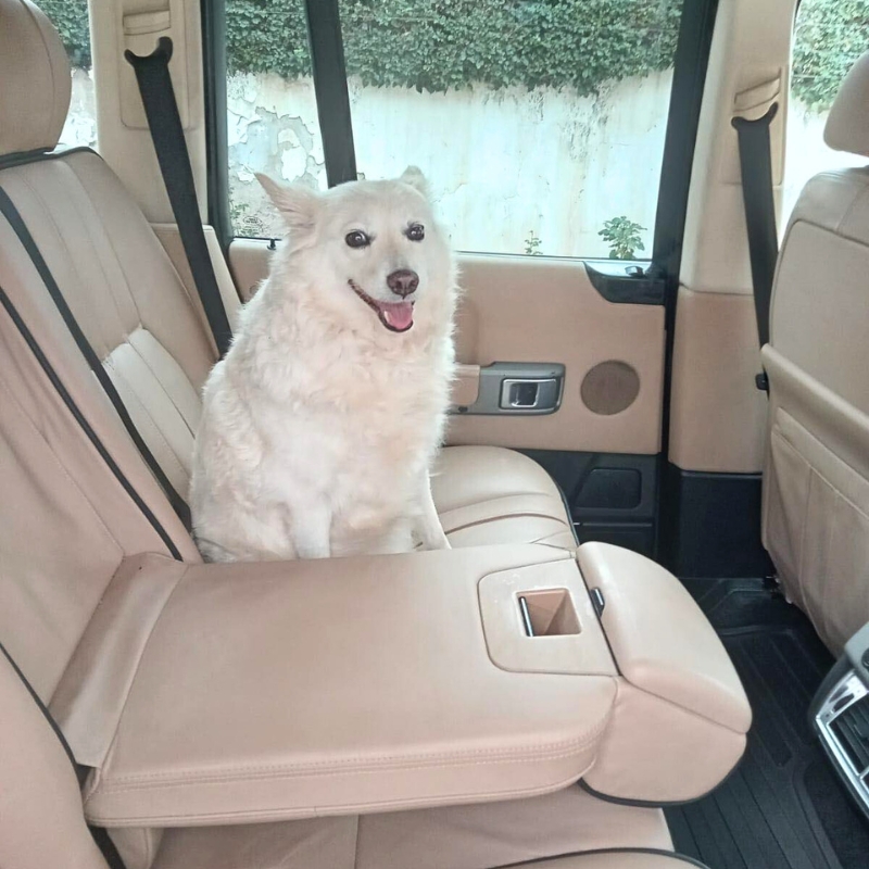 10 questions to Ahmed Nzibo