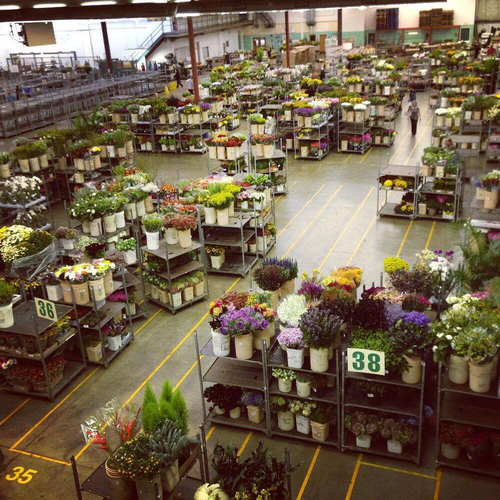 Busy morning at flower auction
