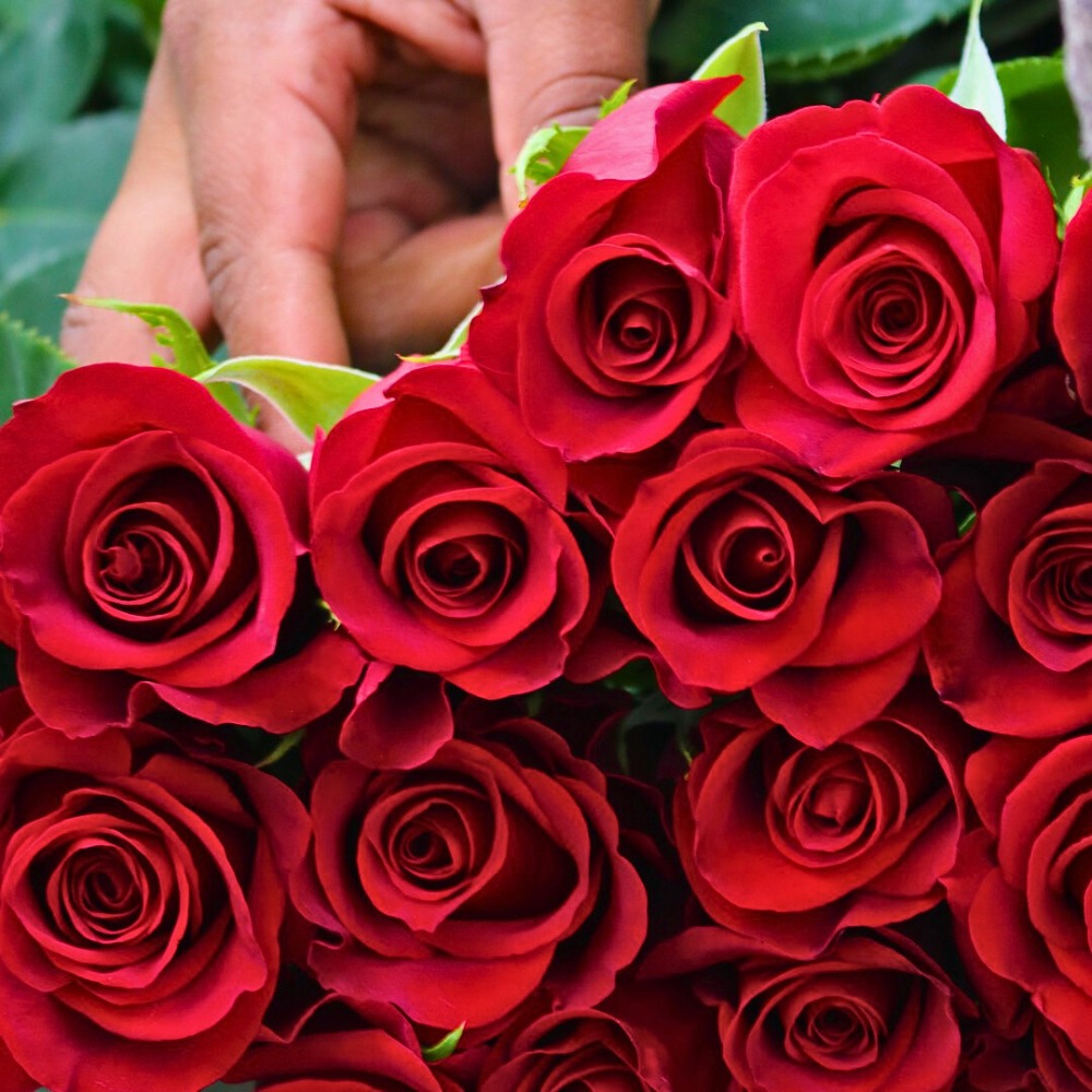 How (Should) Flower Growers Prepare for Valentine's Day