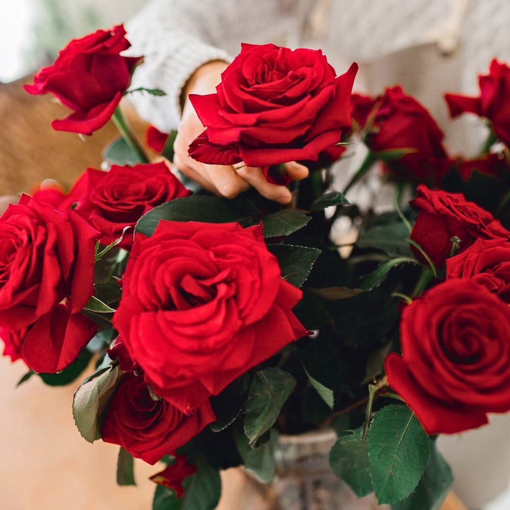 How Flower Growers Prepare for Valentine's Day