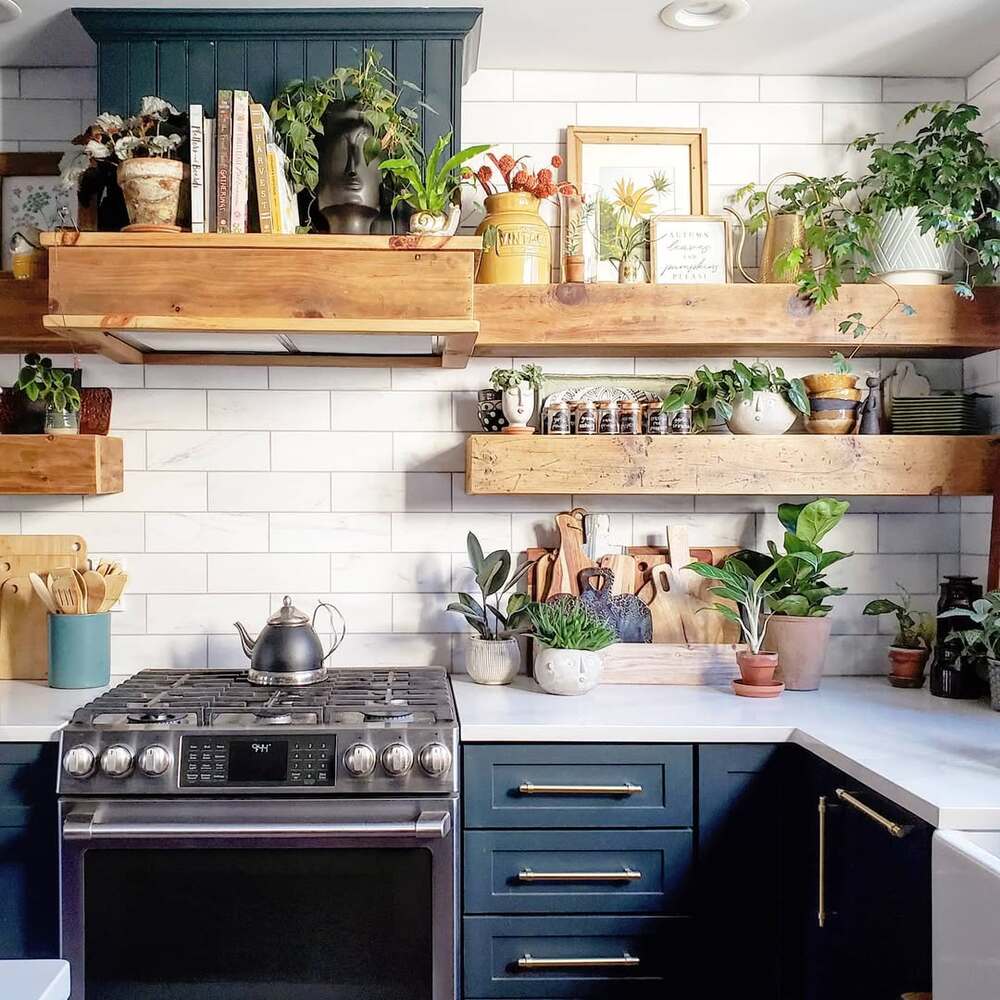 Potted indoor plants in modern kitchen