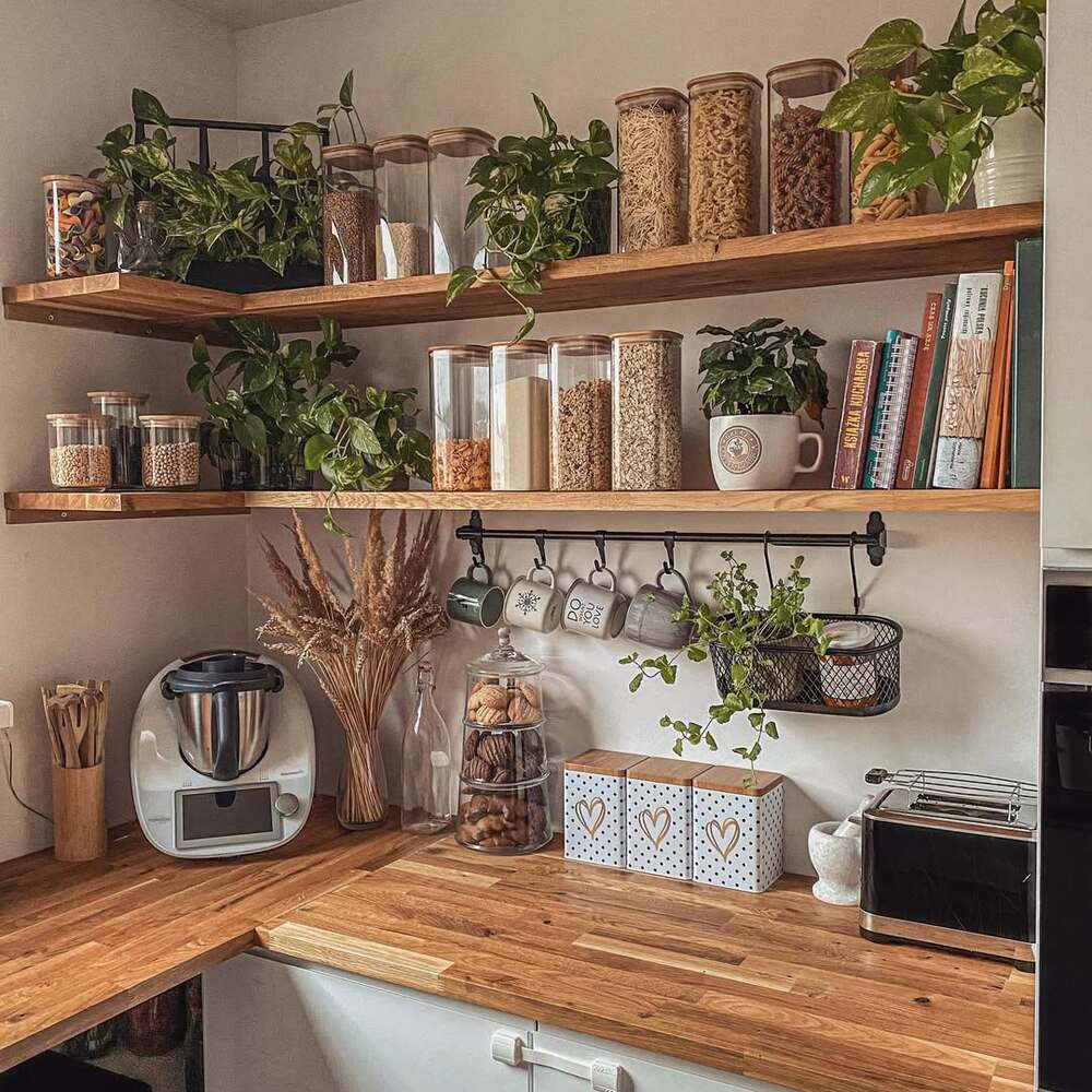 Potted trailing plants on kitchen shelves