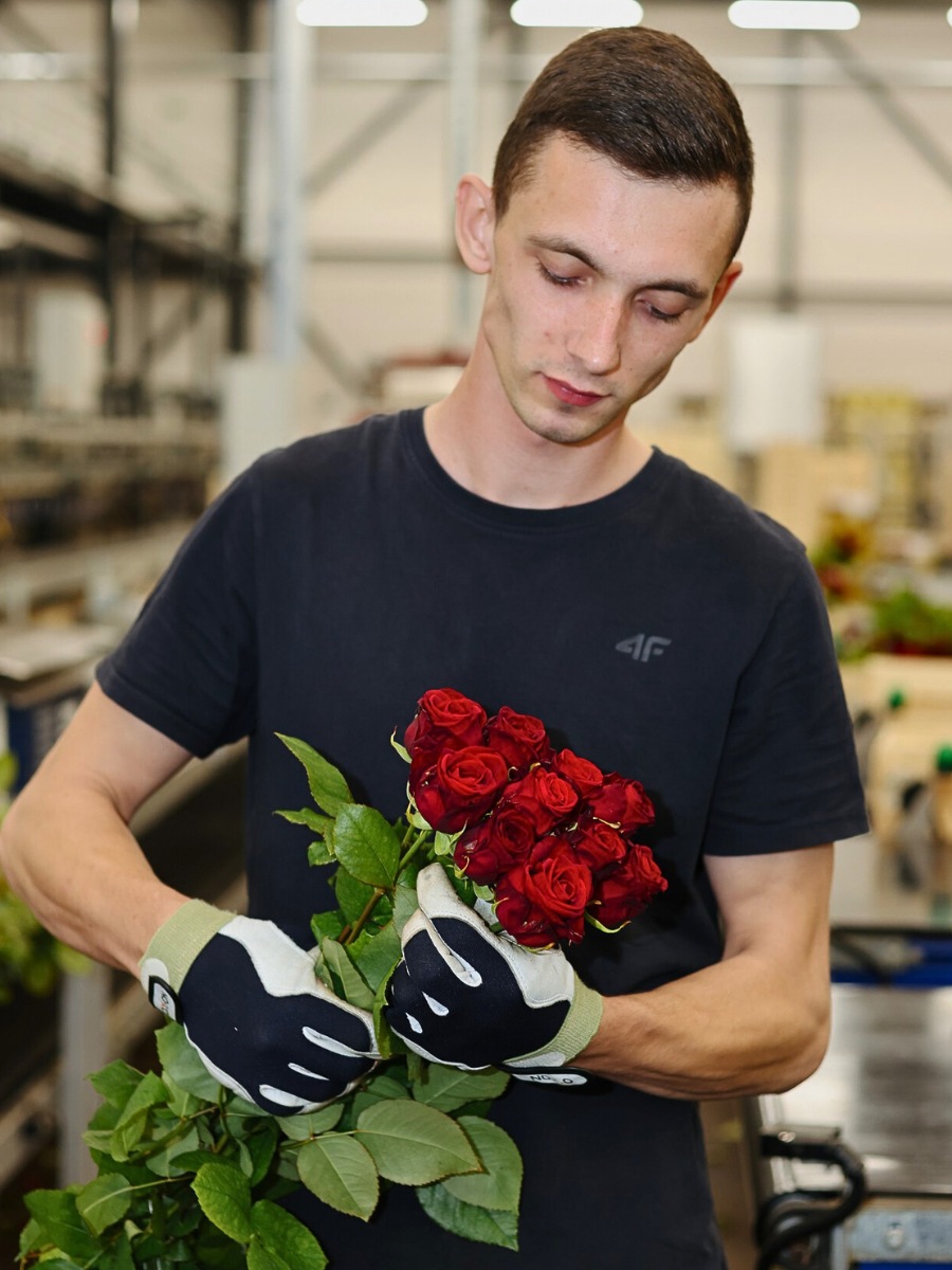 How Flower Growers Prepare for Valentine's Day