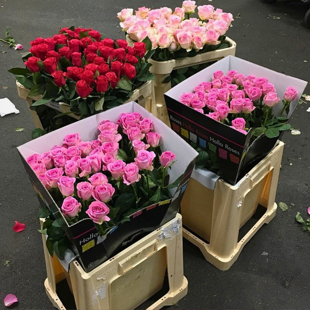 how flower growers can optimize their Valentine's Day production