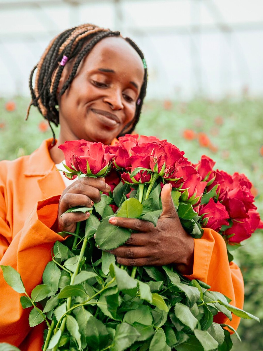 How Flower Growers Prepare for Valentines Day