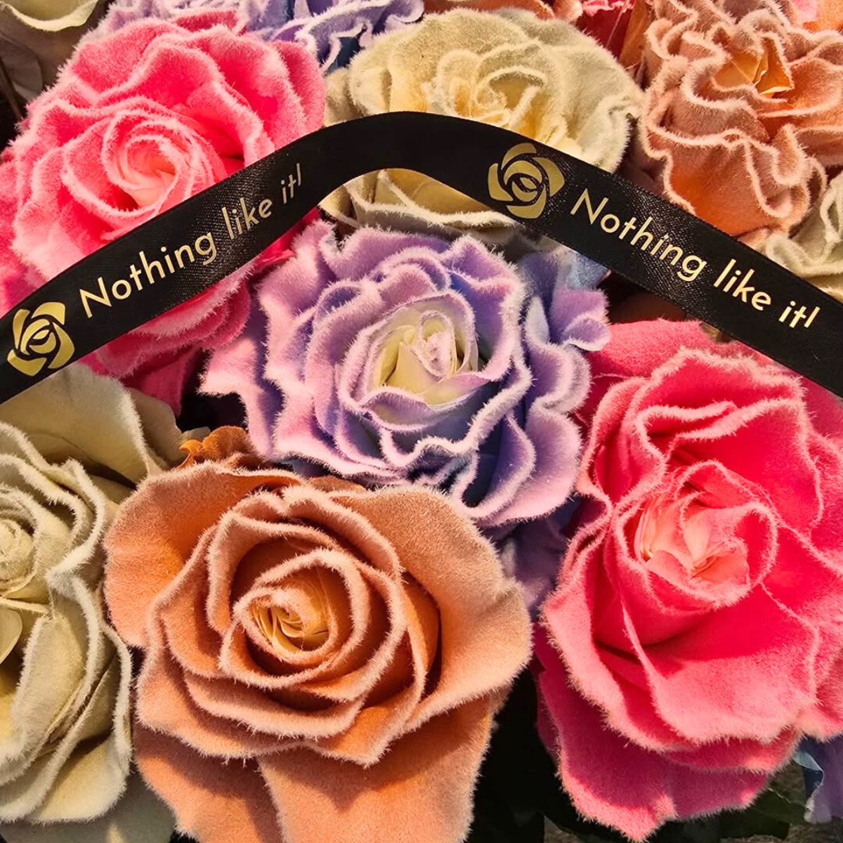 Nothing Like it by Star Roses