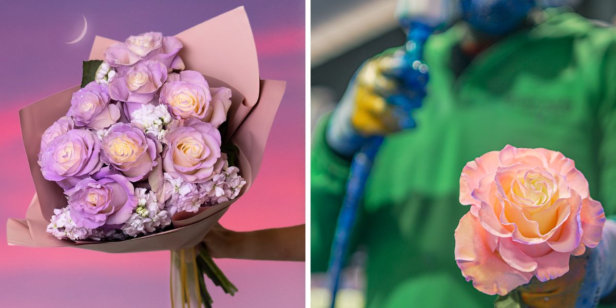 Tinted rose process Tinted rose process