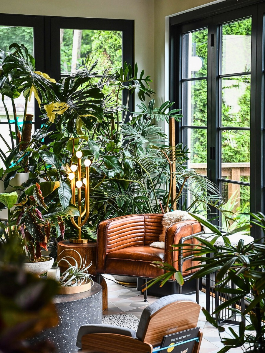 Unfurled: Designing a Living Home' invites readers into his home to witness a personal sanctuary that has gradually evolved to mirror his style, creativity, and love for plants.