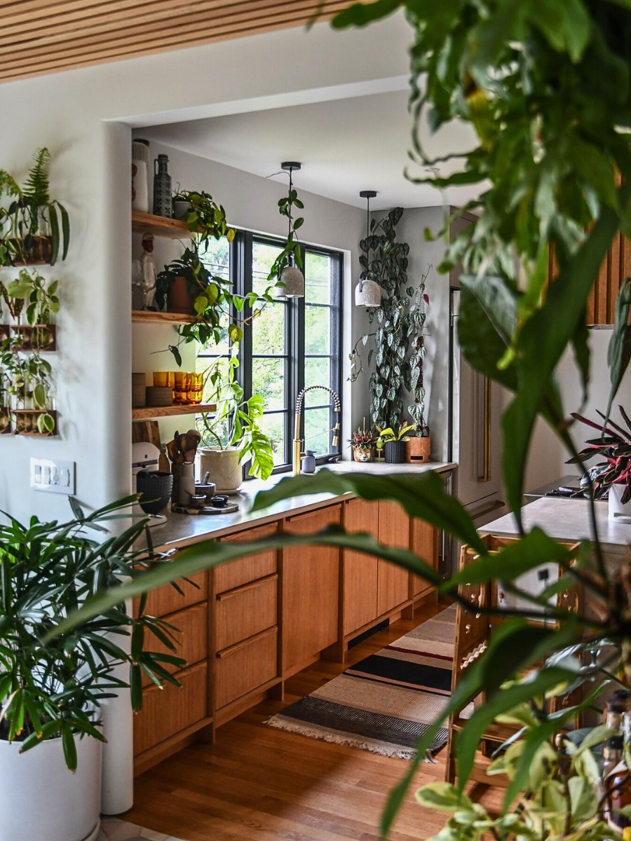 Unfurled: Designing a Living Home