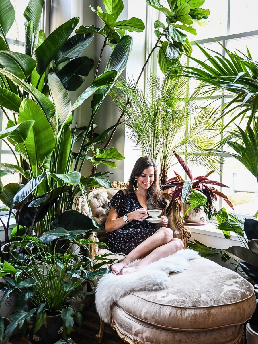 Unfurled: Designing a Living Home invites readers into Hilton Carter's home to witness a personal sanctuary that has gradually evolved to mirror his style, creativity, and love for plants.