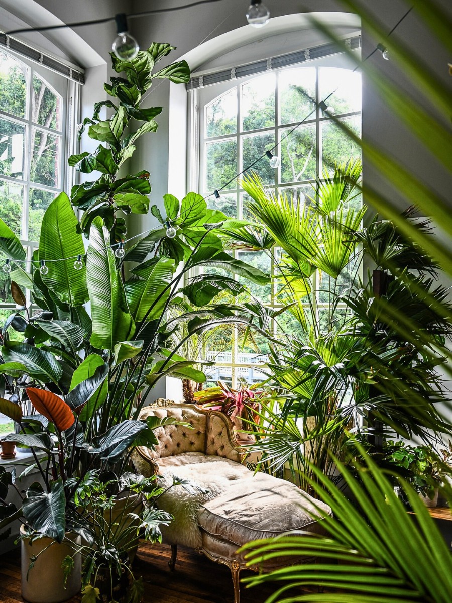 Hilton Carter&rsquo;s Book Unfurled: Designing a Living Home&rsquo; Invites Readers Into His Home to Witness a Personal Sanctuary That Has Gradually Evolved to Mirror His Style, Creativity, and Love for Plants.