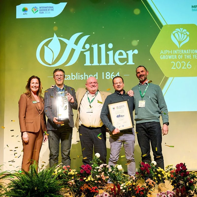 Gold Rose Hillier nursery