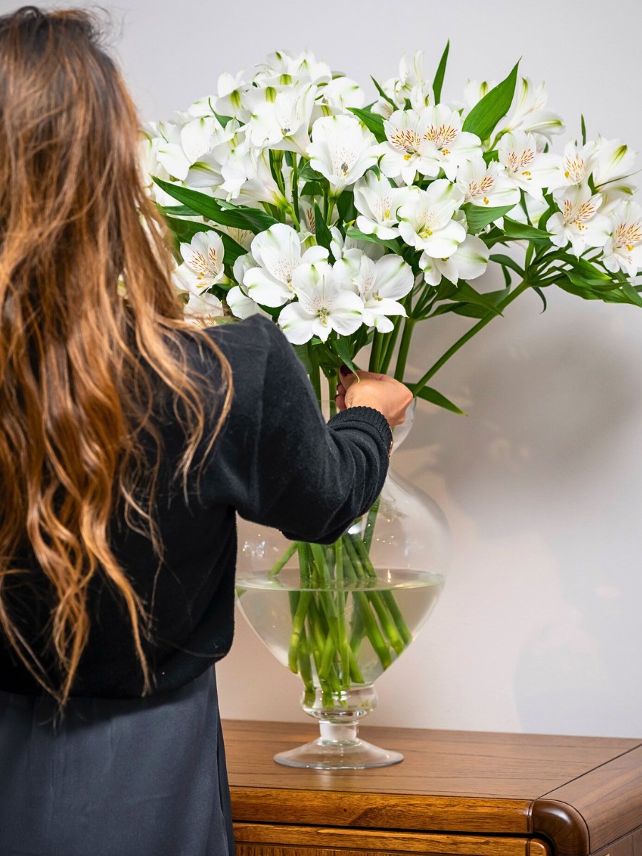 K&ouml;nst Alstroemeria&rsquo;s Eight Decades of Breeding Superior Genetics