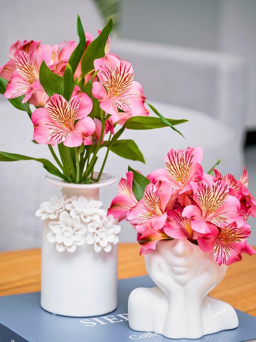 K&ouml;nst Alstroemeria&rsquo;s Eight Decades of Breeding Superior Genetics