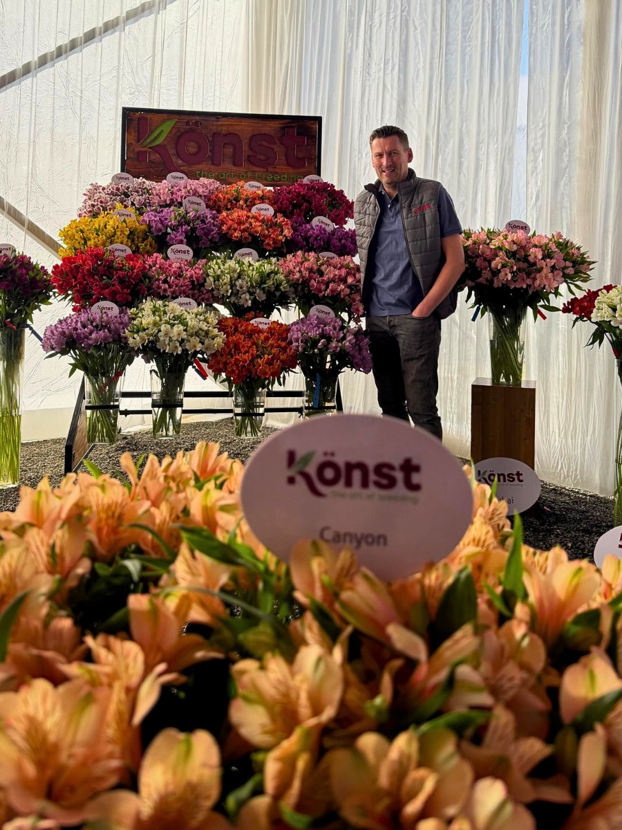 K&ouml;nst Alstroemeria Marks Eight Decades of Breeding Superiority