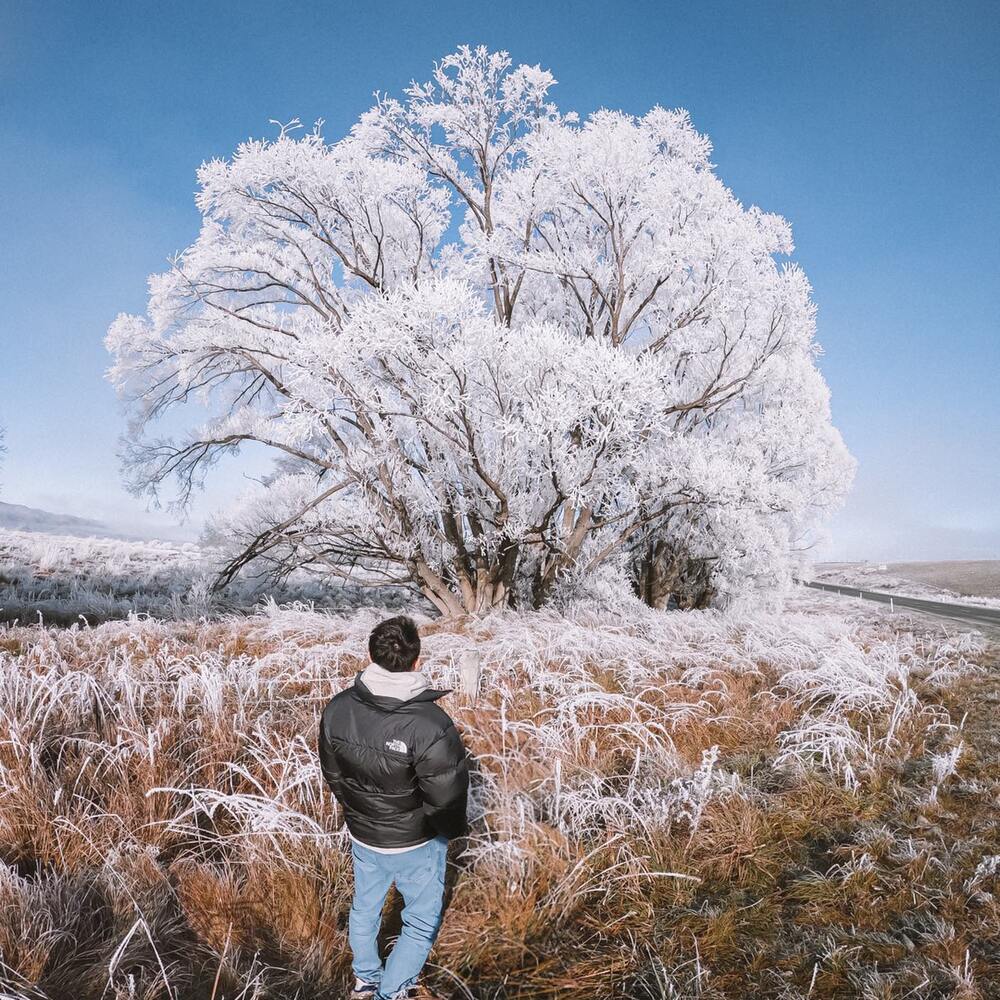 Man looking at plant covered with snow