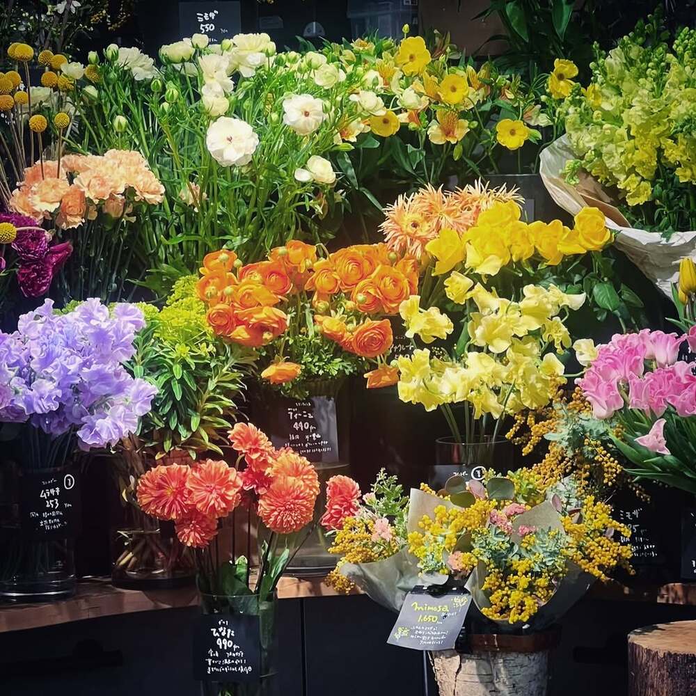 Vibrant spring blooms in Japanese market