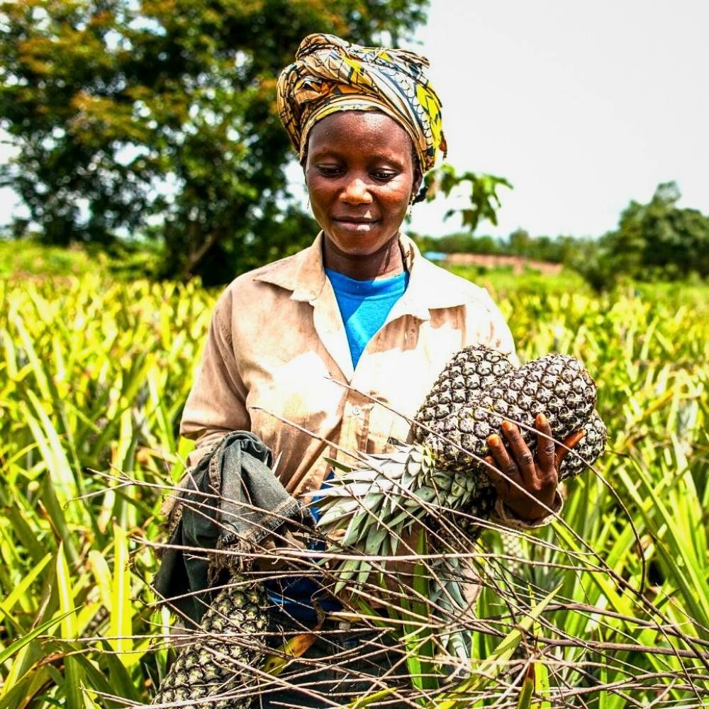 Fairmiles Unveils Just Transition Principles Consultations to Guide Sustainable Supply Chain Reforms