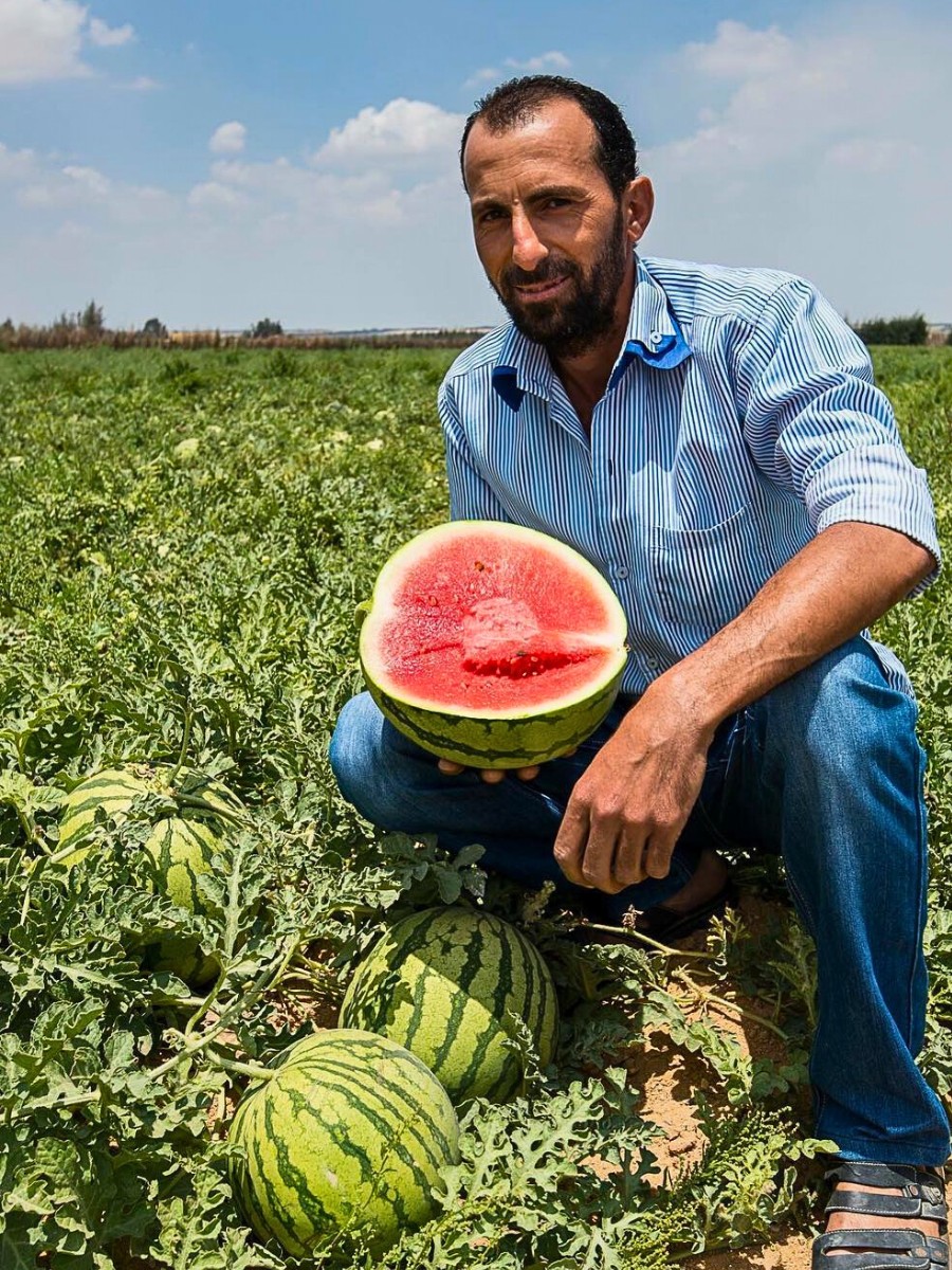 Fairmiles Unveils Just Transition Principles Consultations to Guide Sustainable Supply Chain Reforms