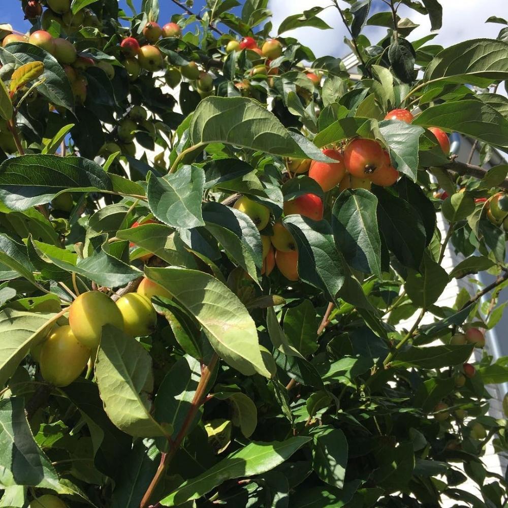 Fairmiles Unveils Just Transition Principles Consultations to Guide Sustainable Supply Chain Reforms