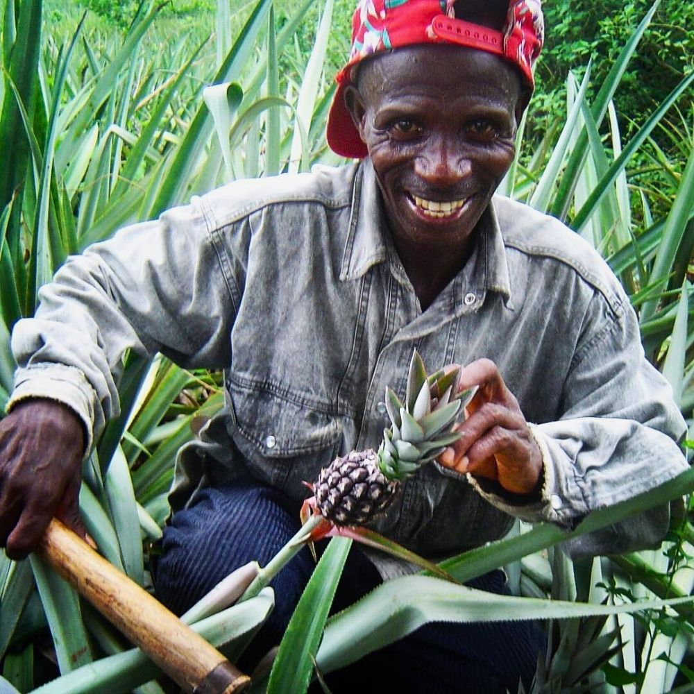 Fairmiles Unveils Just Transition Principles Consultations to Guide Sustainable Supply Chain Reforms