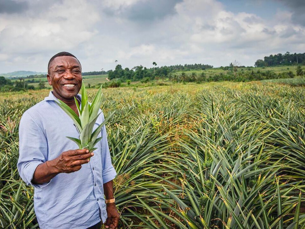 Fairmiles Consultations on Just Transition Principles for Fairer Sustainable Supply Chains