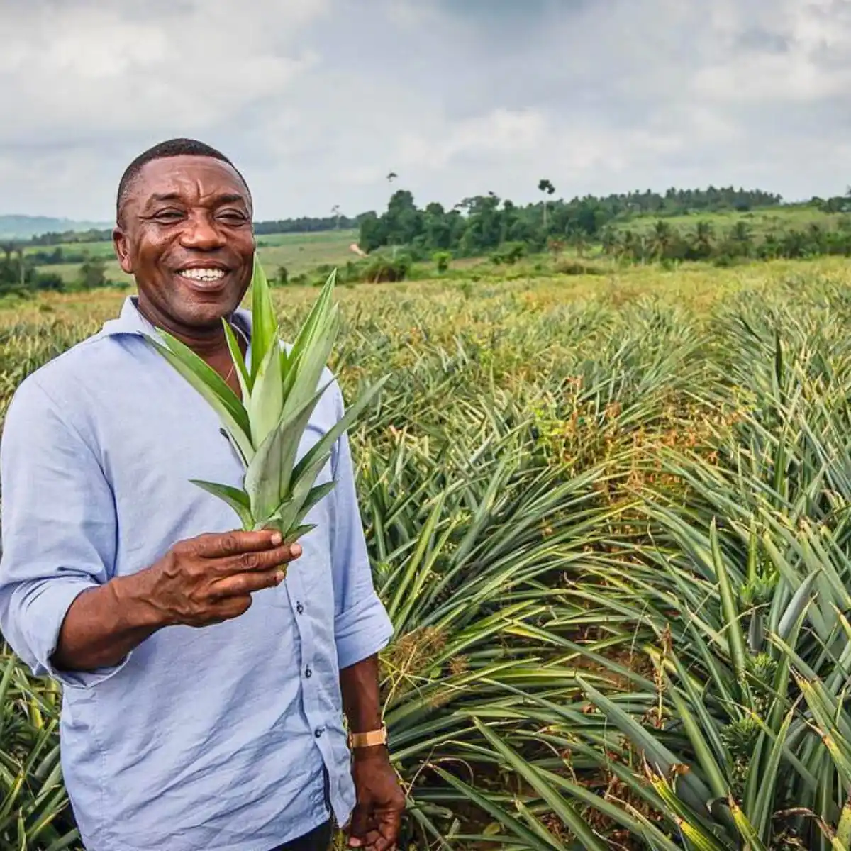 Fairmiles, Just Transition Principles, Consultations, Sustainable Supply Chain Reforms