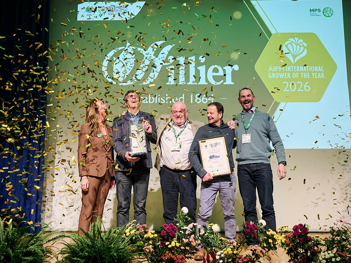 AIPH IGOTY Awards Hillier wins Gold Rose