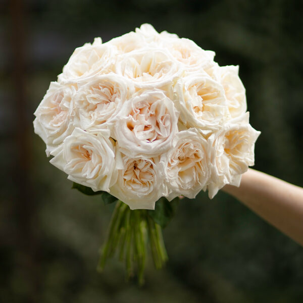 White O'Hara - The Perfect Garden Rose for Your Wedding or Event Wedding Bouquet