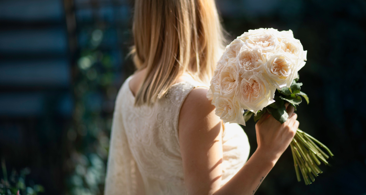 White O'Hara - The Perfect Garden Rose for Your Wedding or Event