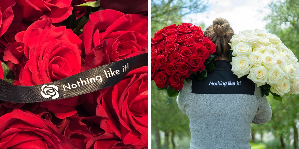 Nothing Like it by Star Roses