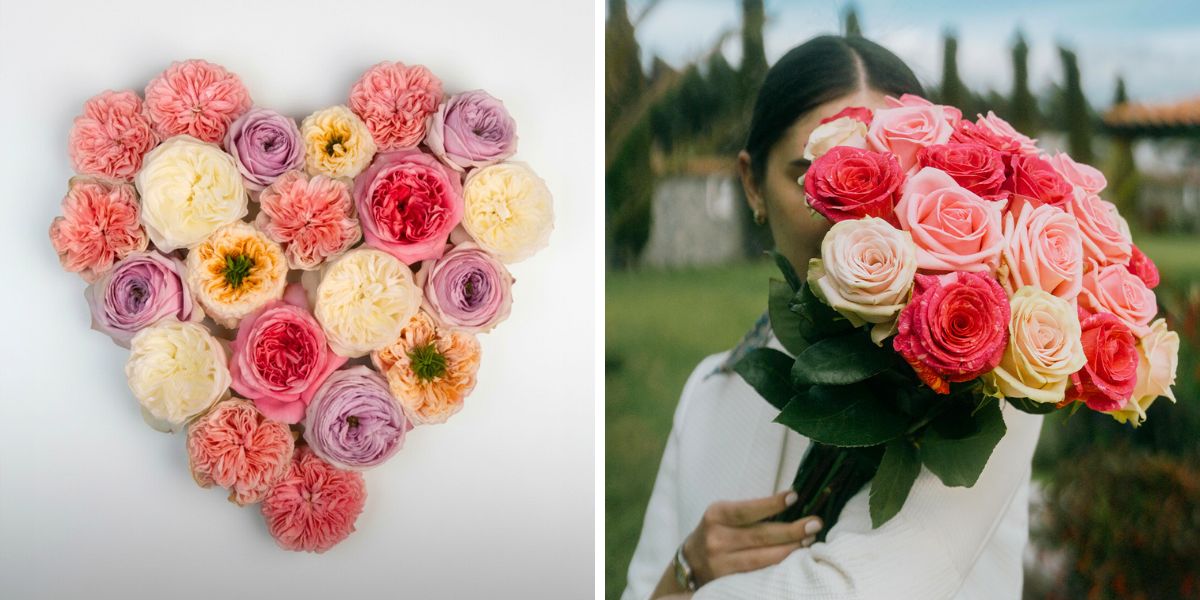 Roses in heart shape