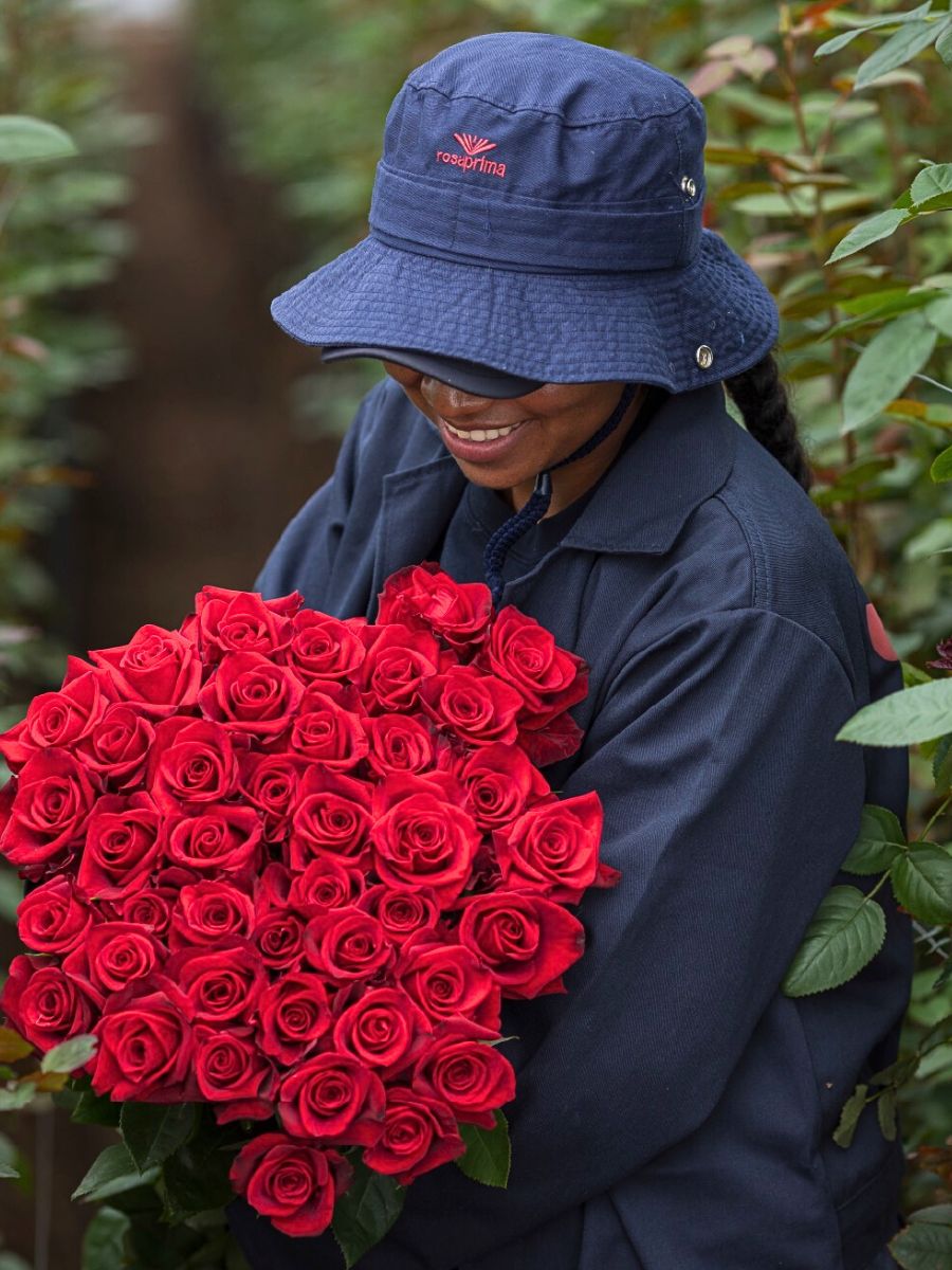 New York state flower